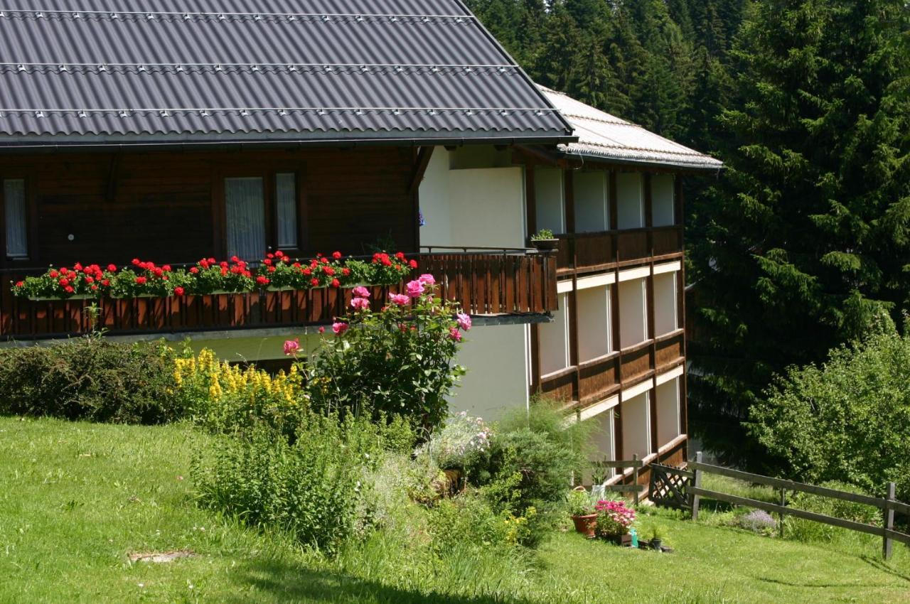Gasthof Hotel Ifenblick Sibratsgfäll Extérieur photo
